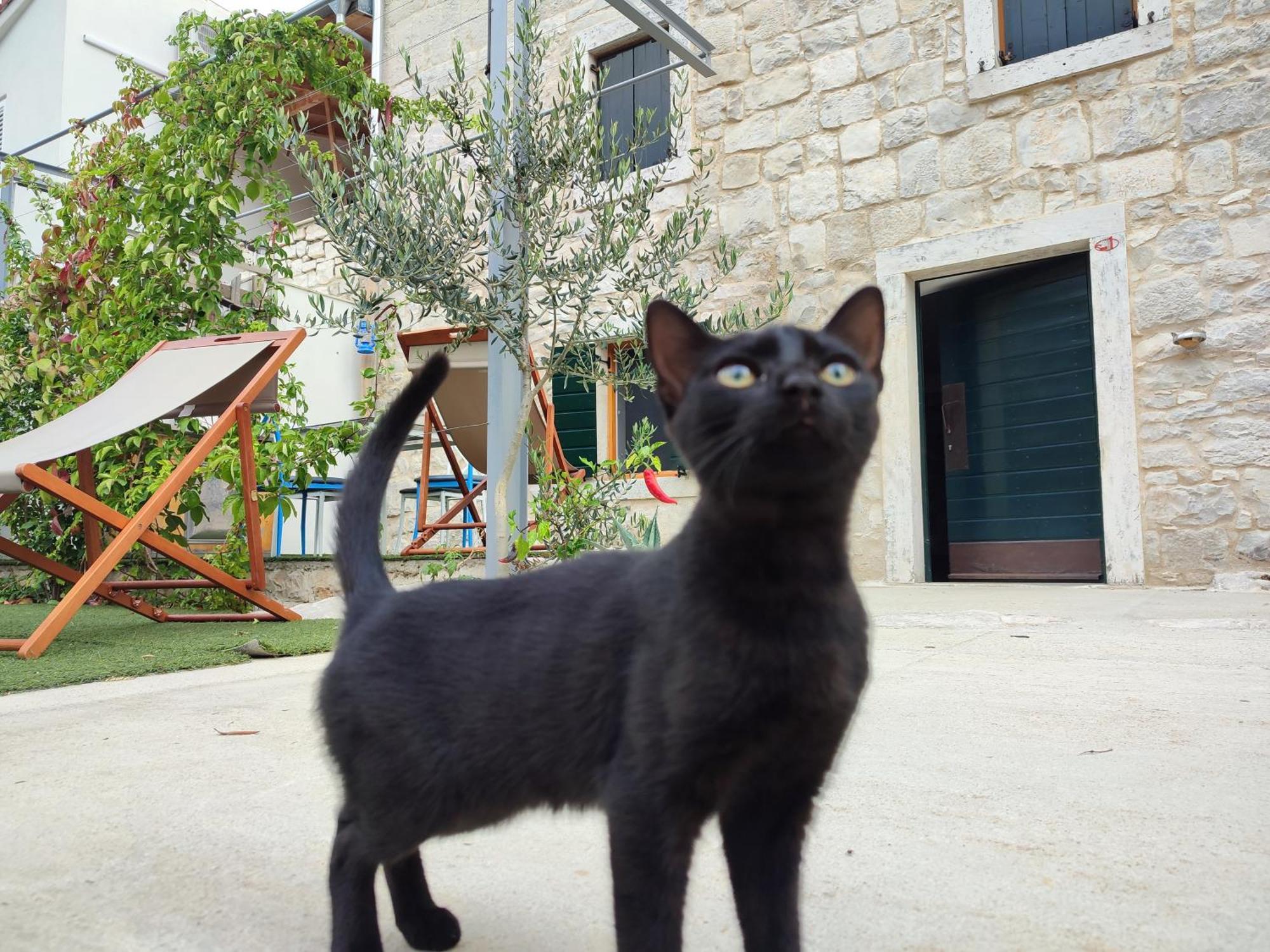 Apartmani Peljesac Sova Sreser Eksteriør billede
