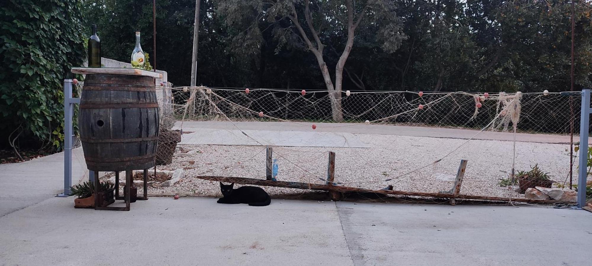 Apartmani Peljesac Sova Sreser Eksteriør billede